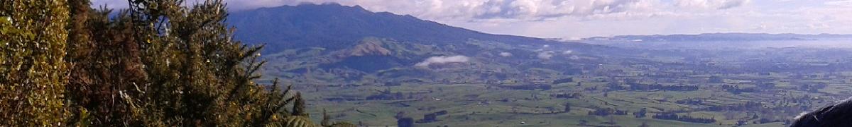 Pirongia from Kakepuku